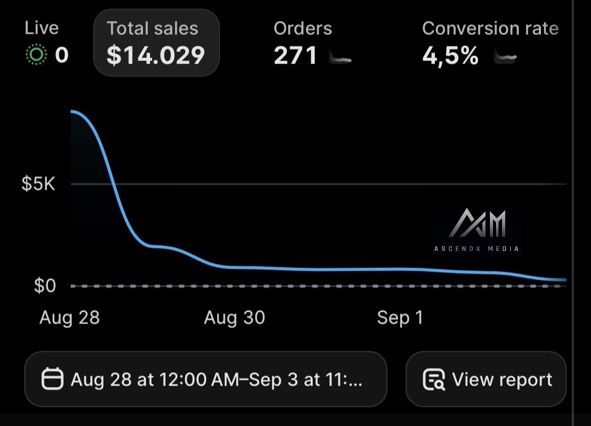 $14,029 · 4.5% conversion rate